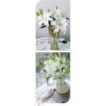 Siberian Lily – Double-Headed